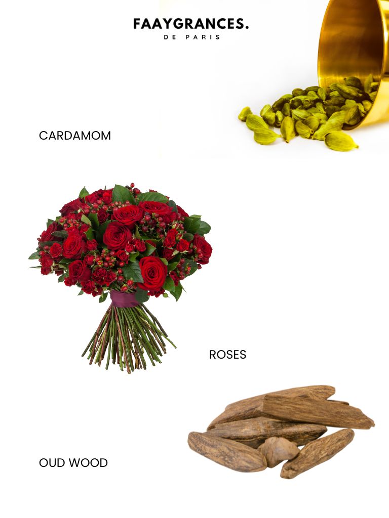 OUD & ROSES
